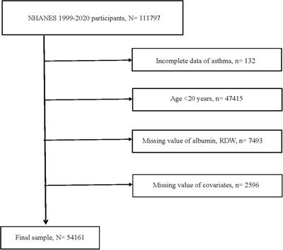 Red cell distribution width to albumin ratio is associated with asthma risk: a population-based study